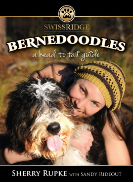 Sherry Rupke - Bernedoodles: A Head to Tail Guide