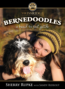 Sherry Rupke Bernedoodles: A Head to Tail Guide