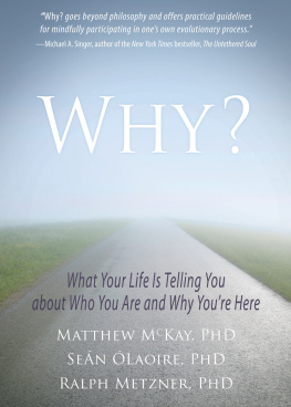 Matthew McKay - Why?: What Your Life Is Telling You about Who You Are and Why Youre Here