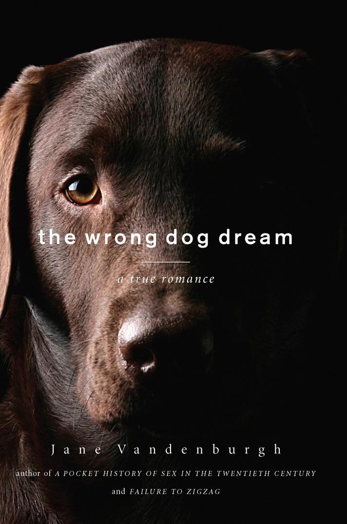 the wrong dog dream the wrong dog dream - photo 1