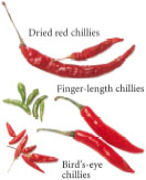 Chillies come in many shapes and sizes Fresh green and red finger-length - photo 7