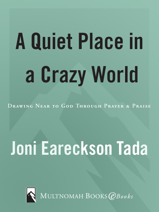 A Quiet Place in a Crazy World published by Multnomah Books 1993 by Joni - photo 1