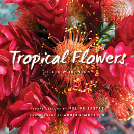 Eileen Johnson Tropical Flowers