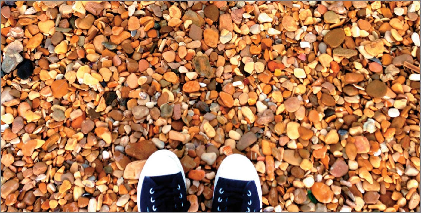 I collect stones on the beaches of the Adriatic Sea in Italy There I find - photo 15