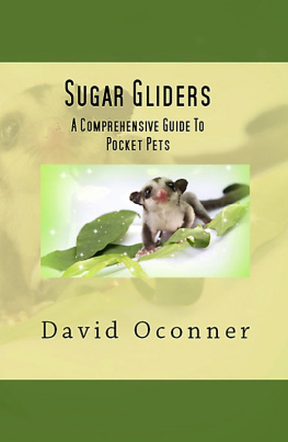 David Oconner - Sugar Gliders