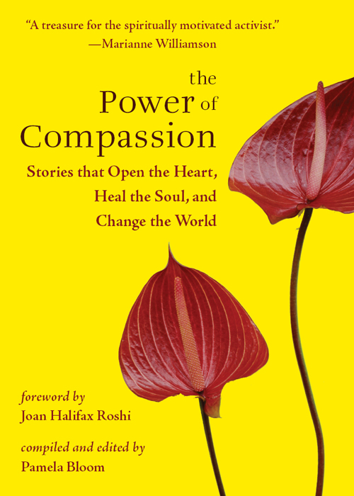 Praise for The Power of Compassion Compassion arises through ceaseless - photo 1