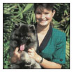 Find out if you are suitable Keeshond material by learning about the breeds - photo 4