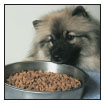 Cover the specifics of taking care of your Keeshond every day feeding for the - photo 7