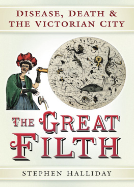 Stephen Halliday - The Great Filth: Disease, Death and the Victorian City