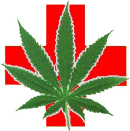 F OLKS MAY GIGGLE when you speak about marijuana as food and a medical remedy - photo 4