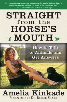 Amelia Kinkade Straight from the Horses Mouth: How to Talk to Animals and Get Answers