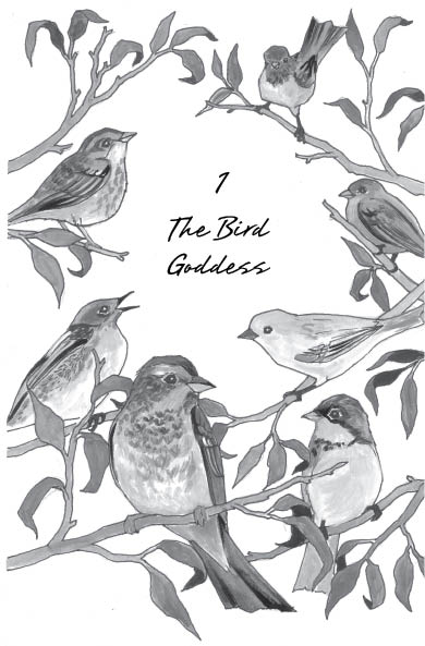 T he bird goddess image seemed the most fitting way to begin a study of bird - photo 6