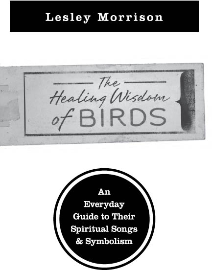 Llewellyn Publications Woodbury Minnesota The Healing Wisdom of Birds An - photo 2