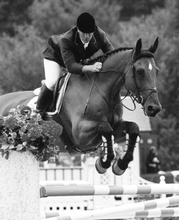 Grand Prix Show Jumper Peter Leone CONTENTS Sections Basic Exercises - photo 4