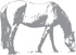 The Horse Nutrition Handbook - image 3