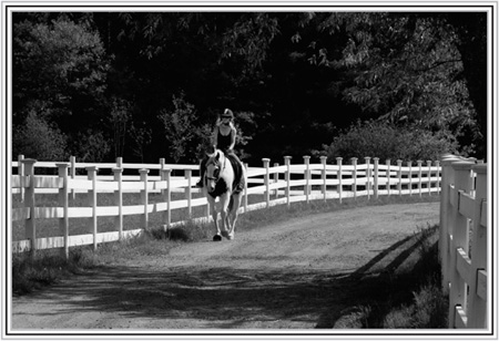 INTRODUCTION WHY WOULD ANYONE GO INTO THE HORSE BUSINESS This horse thing - photo 4