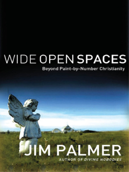 Jim Palmer - Wide Open Spaces: Beyond Paint-by-Number Christianity