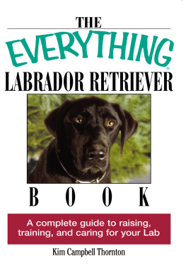 Kim Campbell Thornton - The Everything Labrador Retriever Book: A Complete Guide to Raising, Training, and Caring for Your Lab