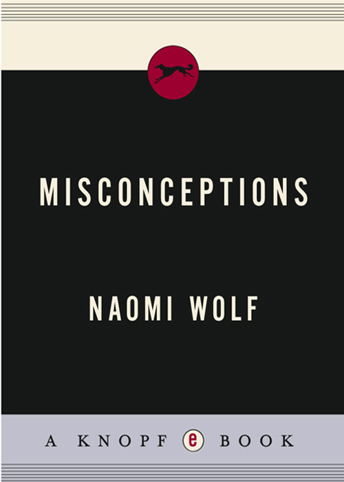 misconceptions TRUTH LIES AND THE UNEXPECTED ON THE JOURNEY TO MOTHERHOOD - photo 1