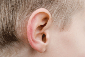 Ear wax works like tears Without wax our ears would be dry and itchy Its not - photo 24