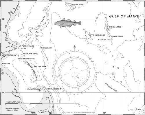 CANYONS OF THE CONTINENTAL SHELF AND NANTUCKET SHOALS CHART Prologue In the - photo 7