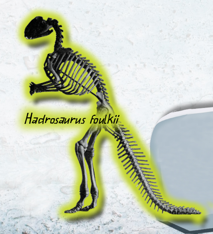 THE PREHISTORIC WORLD Fossils of the duck-billed dinosaur Hadrosaurus foulkii - photo 9