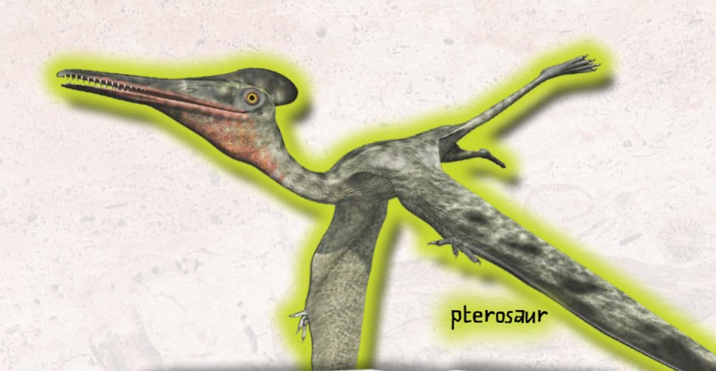 THE PREHISTORIC WORLD Pterosaurs were flying reptiles that existed 250 million - photo 8