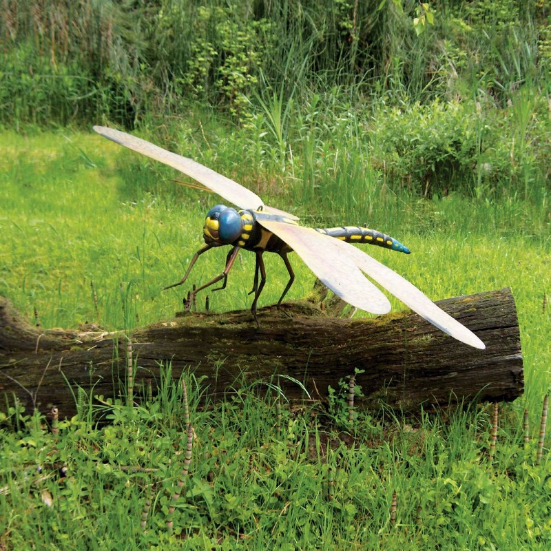 THIS MODEL OF MEGANEURA STANDING ON A LOG SHOWS HOW BIG IT REALLY WAS NOT ALL - photo 7