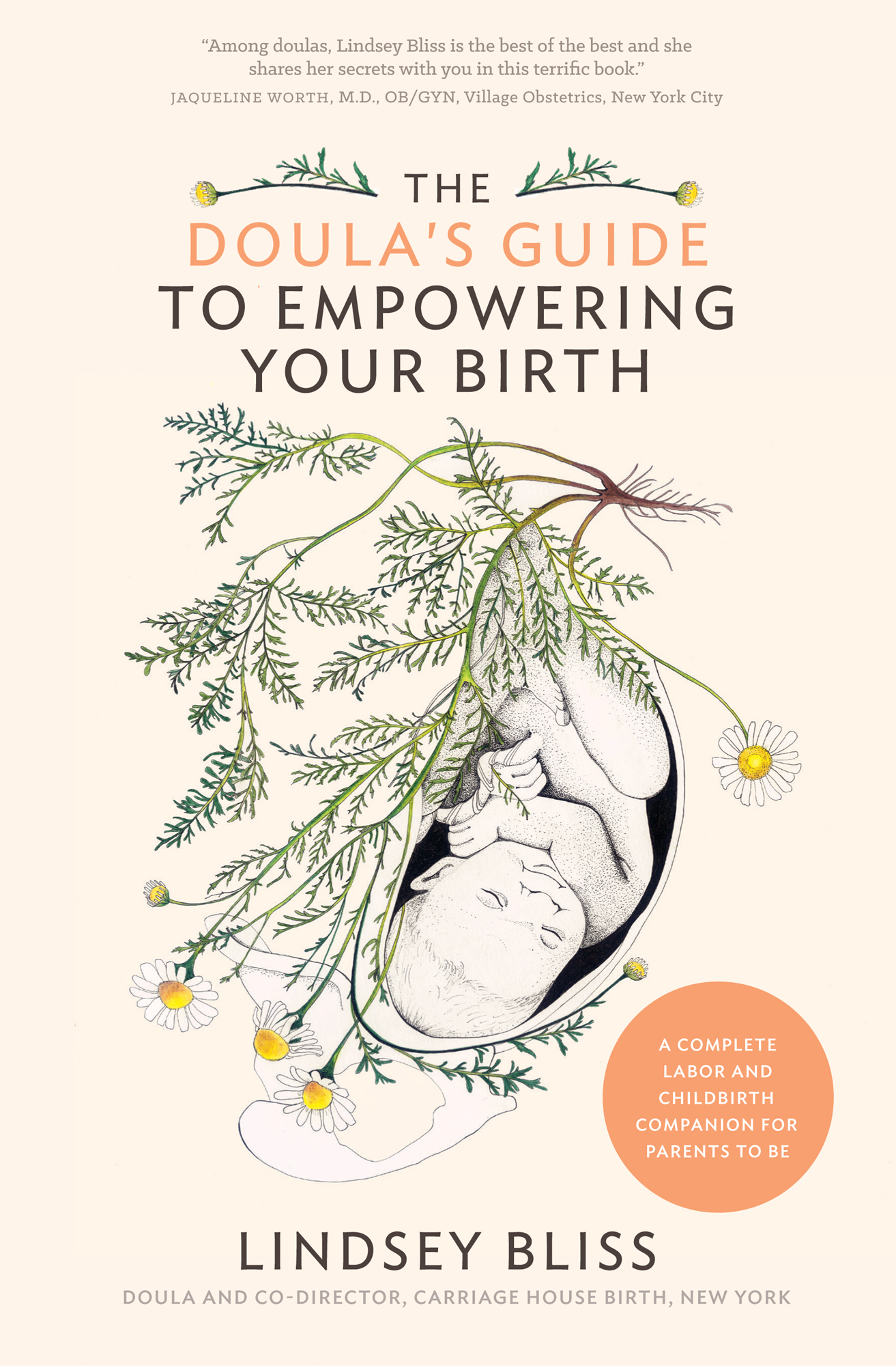 An inspired and essential guide to creating the birth you desire The Doulas - photo 1