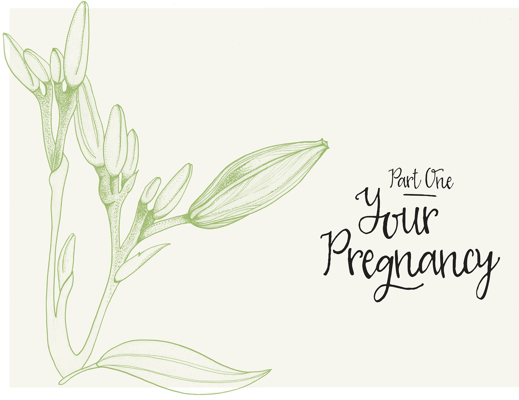 YOUR PATH TO BECOMING PREGNANT MAY HAVE BEEN meticulously planned or it may - photo 6