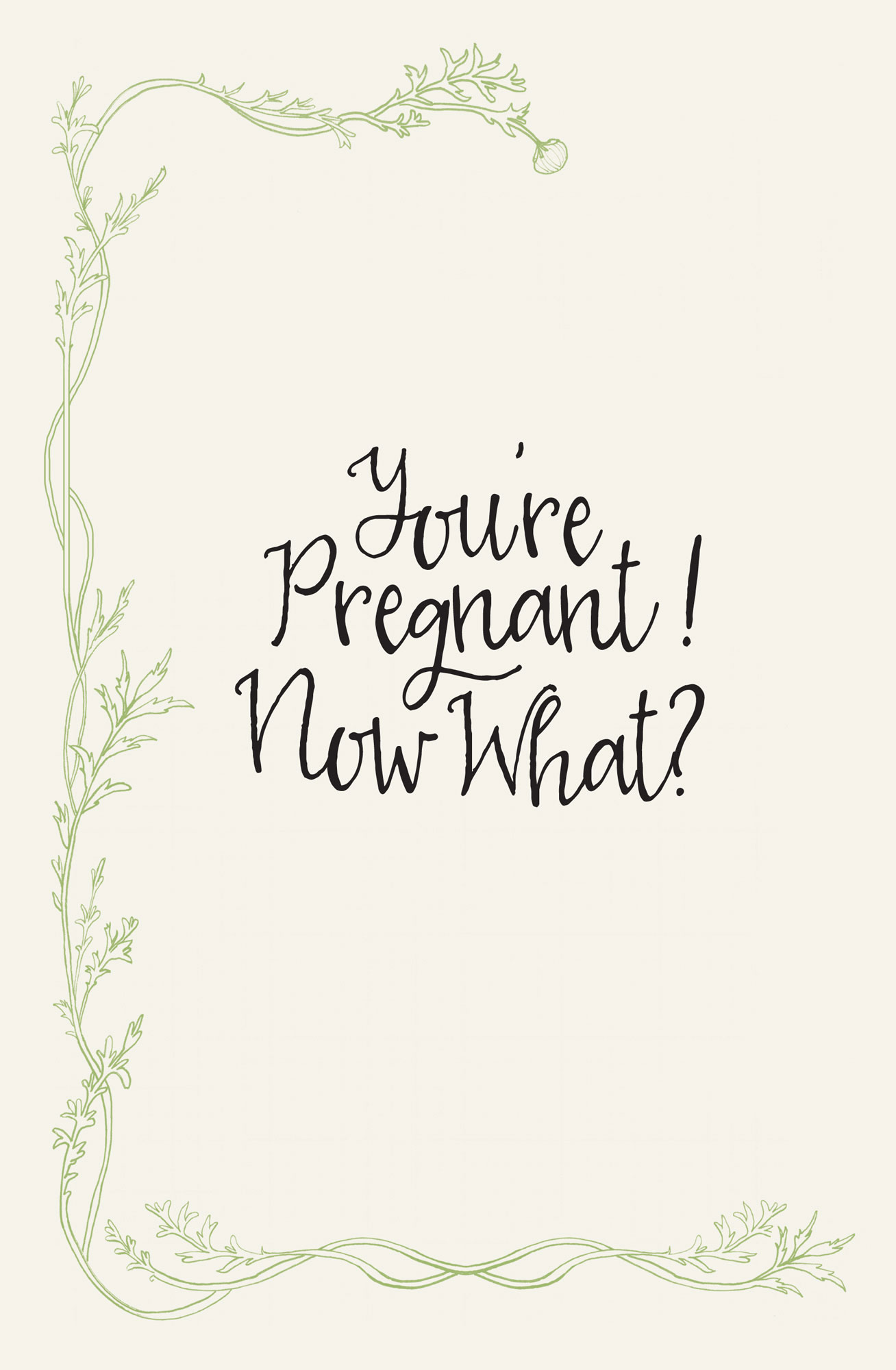 YOUR PATH TO BECOMING PREGNANT MAY HAVE BEEN meticulously planned or it may - photo 7