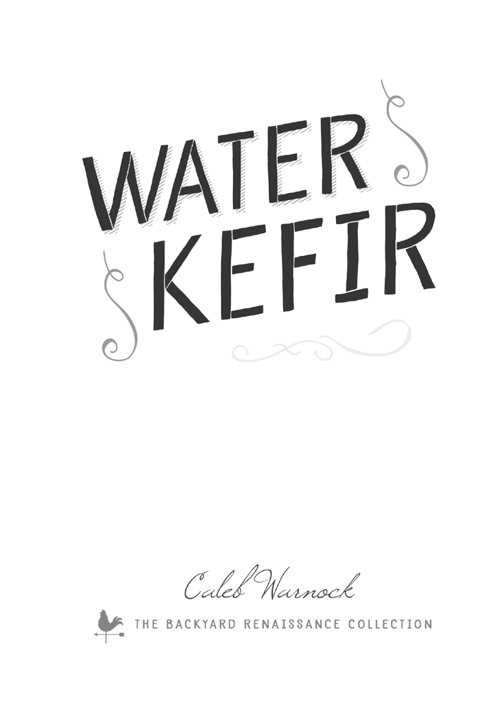 Water Kefir Make Your Own Water-Based Probiotic Drinks for Health and Vitality - image 1