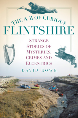David Rowe - The A-Z of Curious Flintshire