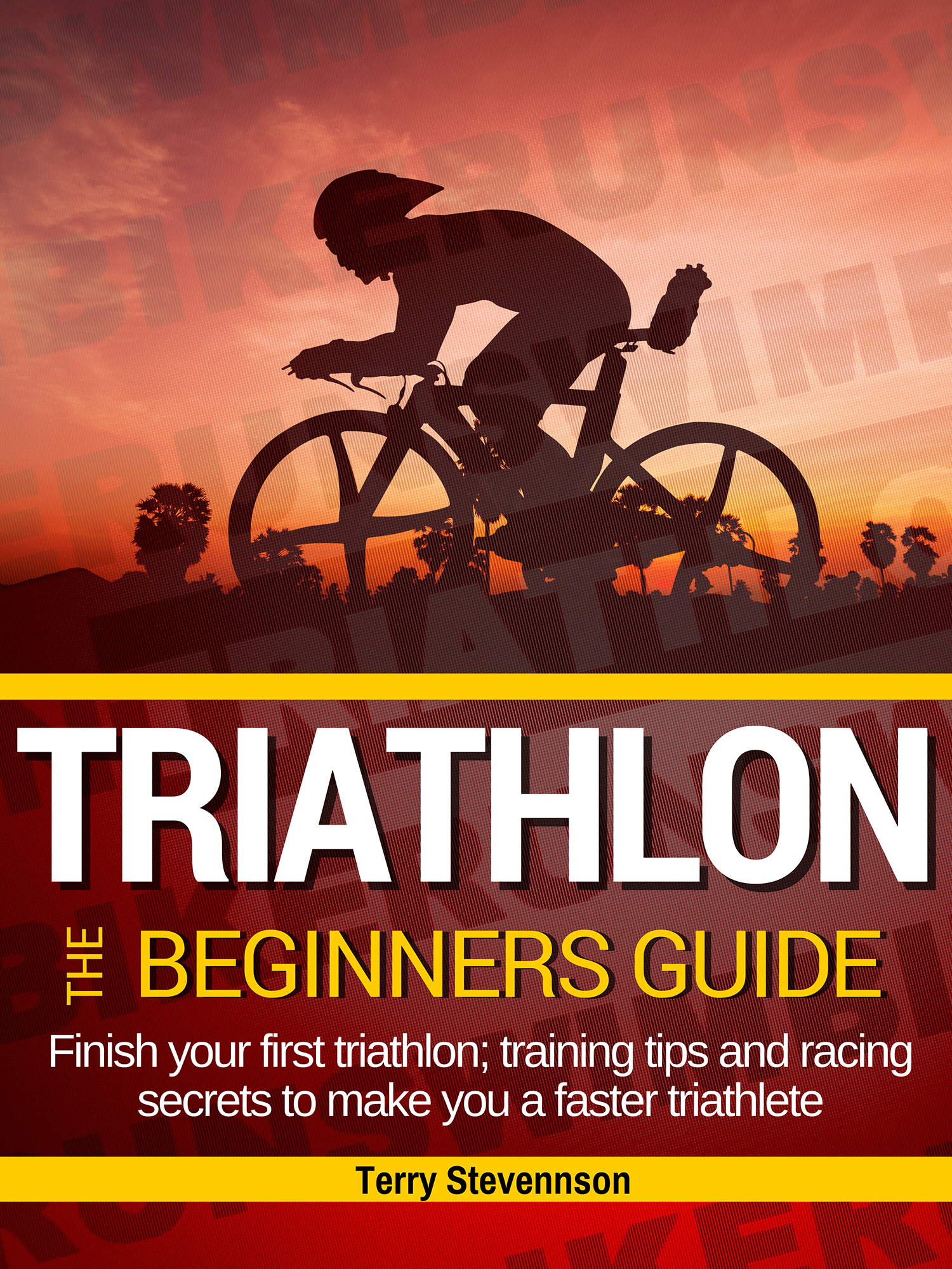 Triathlon The Beginners Guide Finish your first triathlon training tips and - photo 1