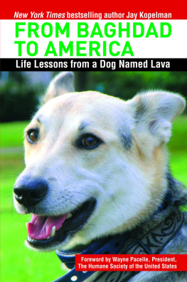 Jay Kopelman - From Baghdad to America: Life Lessons from a Dog Named Lava