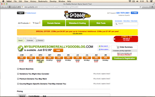 Fig 11 GoDaddy domain purchase screen Now put your domain and your hosting - photo 1