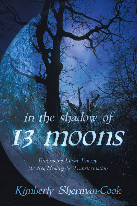 Llewellyn Publications Woodbury Minnesota In the Shadow of 13 Moons - photo 1