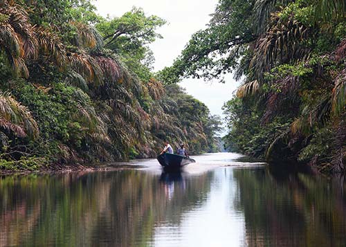 Laguna Penitencia Tortuguero Surfers head to Puerto Viejo and - photo 6