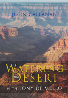 John Callanan Watering the Desert: With Tony de Mello