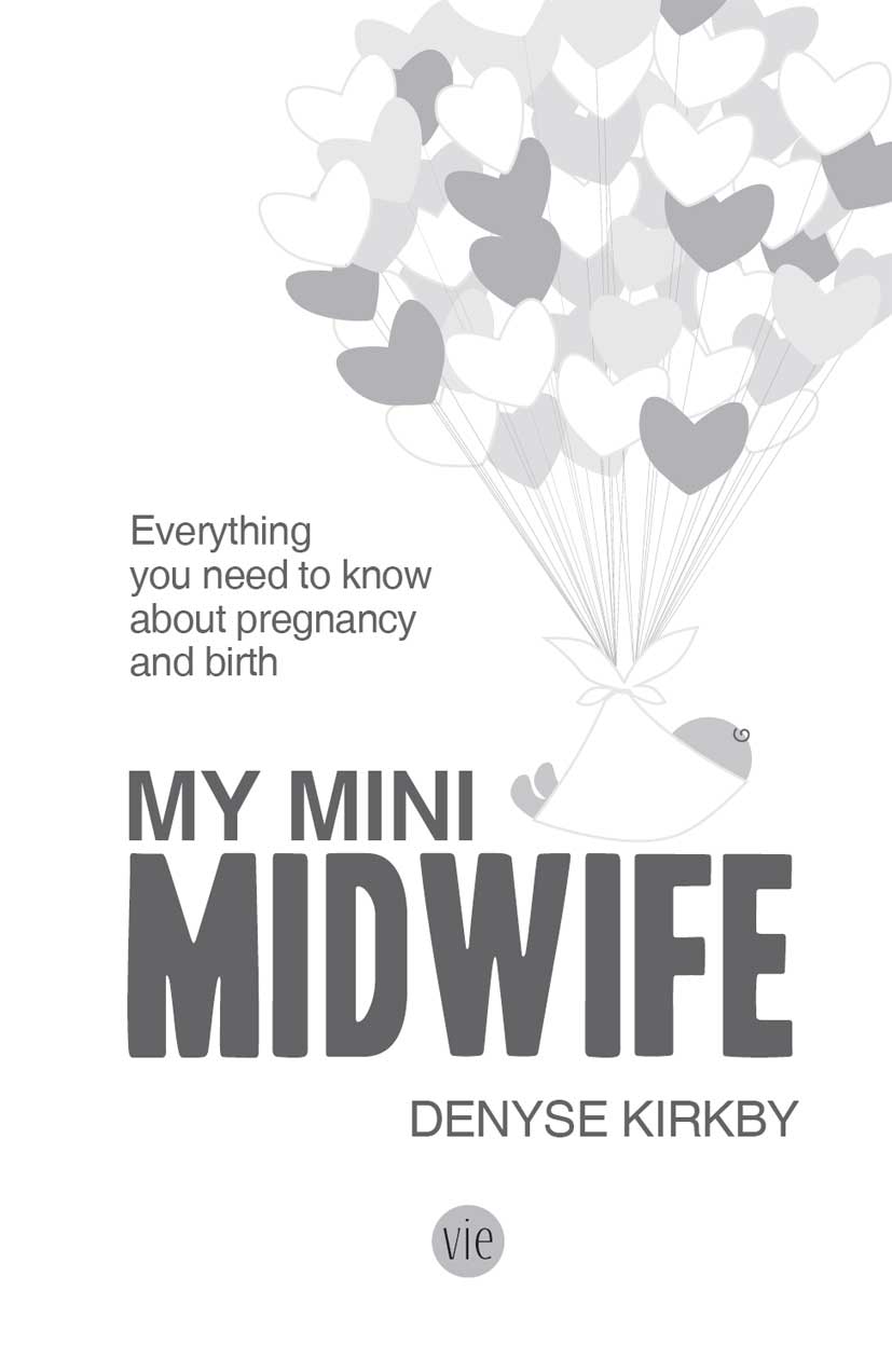 MY MINI MIDWIFE Copyright Denyse Kirkby 2014 All rights reserved No part of - photo 2