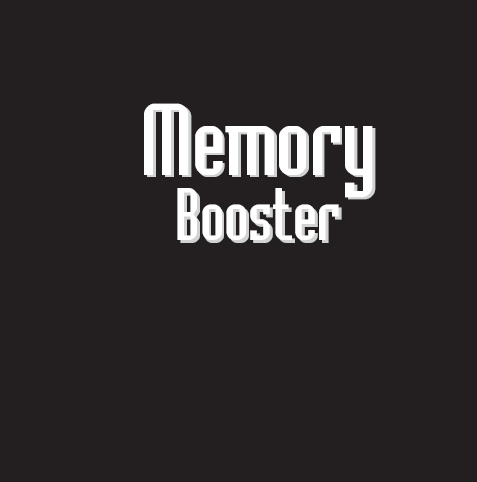 Memory Booster Book Never Forget Another Thing - image 1