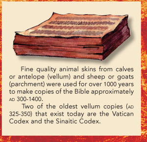 Fine quality animal skins from calves or antelope vellum and sheep or goats - photo 5