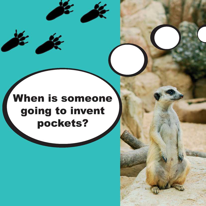 When Meerkats Turn Bad - photo 45