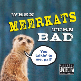 Kitty Litter When Meerkats Turn Bad