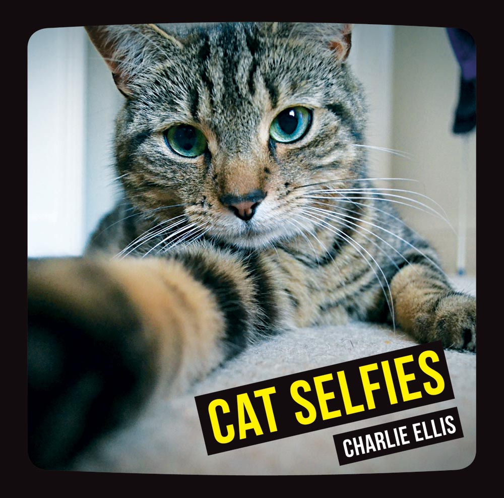 CAT SELFIES Copyright Summersdale Publishers Ltd 2014 All rights reserved - photo 1