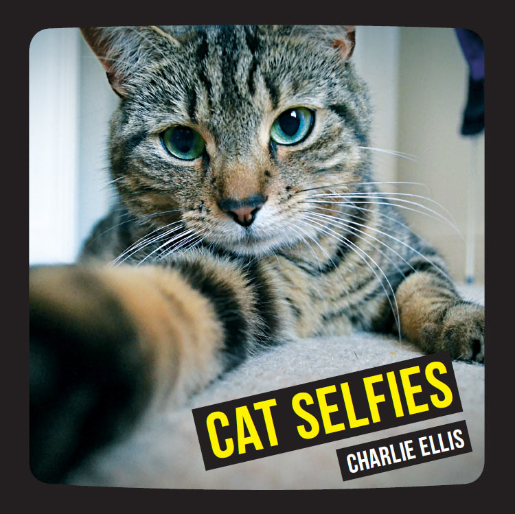 CAT SELFIES Copyright Summersdale Publishers Ltd 2014 All rights reserved - photo 2