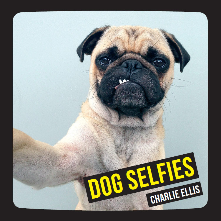 DOG SELFIES Copyright Summersdale Publishers Ltd 2014 All rights reserved - photo 2