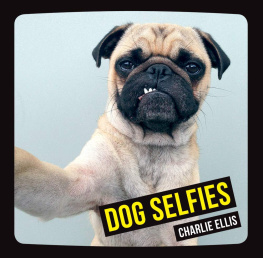 Charlie Ellis Dog Selfies