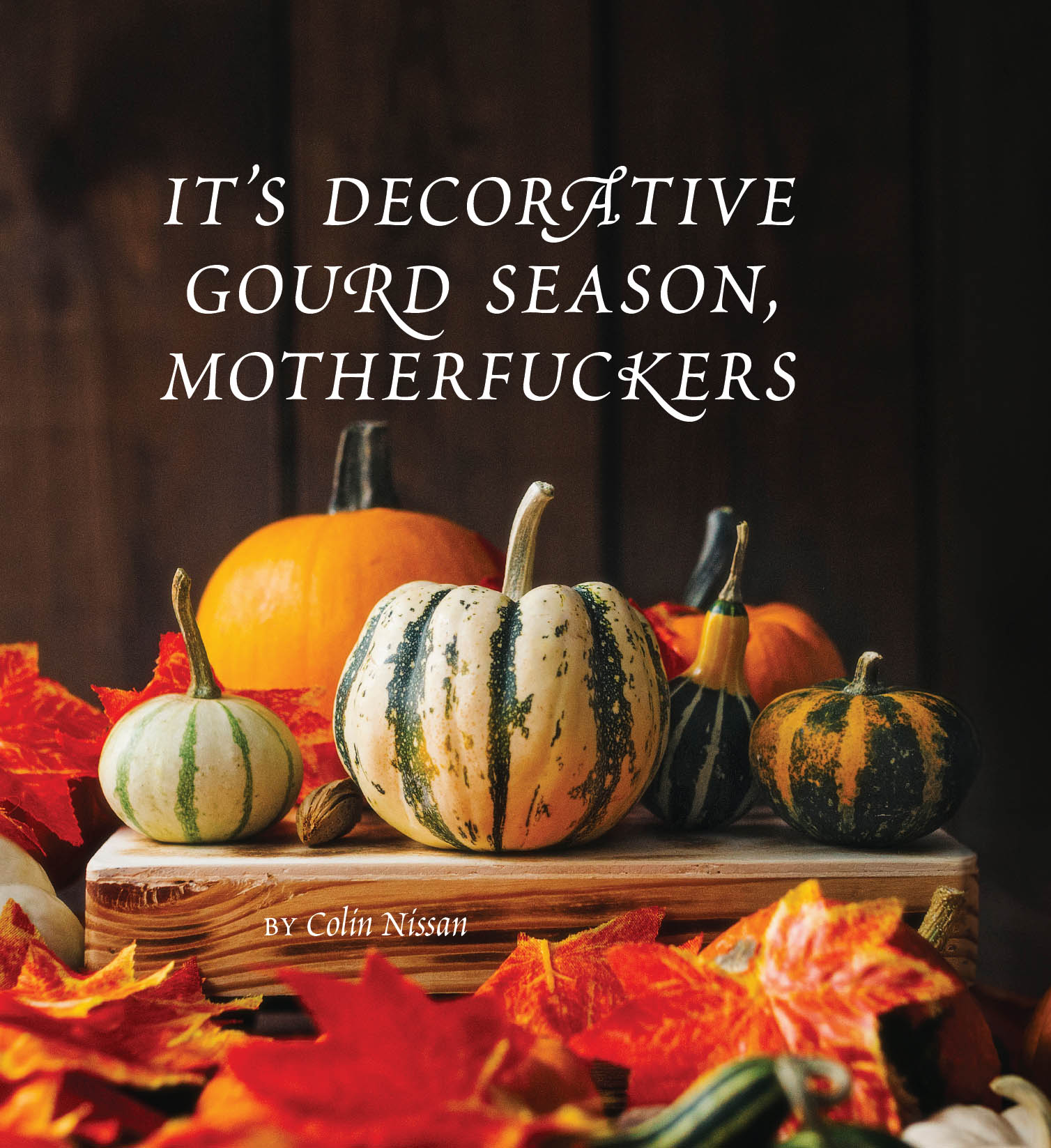 Its Decorative Gourd Season Motherfuckers - photo 1