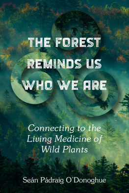 Sean Padraig ODonoghue - The Forest Reminds Us Who We Are: Connecting to the Living Medicine of Wild Plants